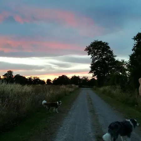 Chez Pastuso Oda ve Kahvaltı Brigueuil-le-Chantre