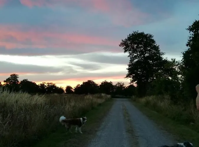 Chez Pastuso Bed and Breakfast Brigueuil-le-Chantre